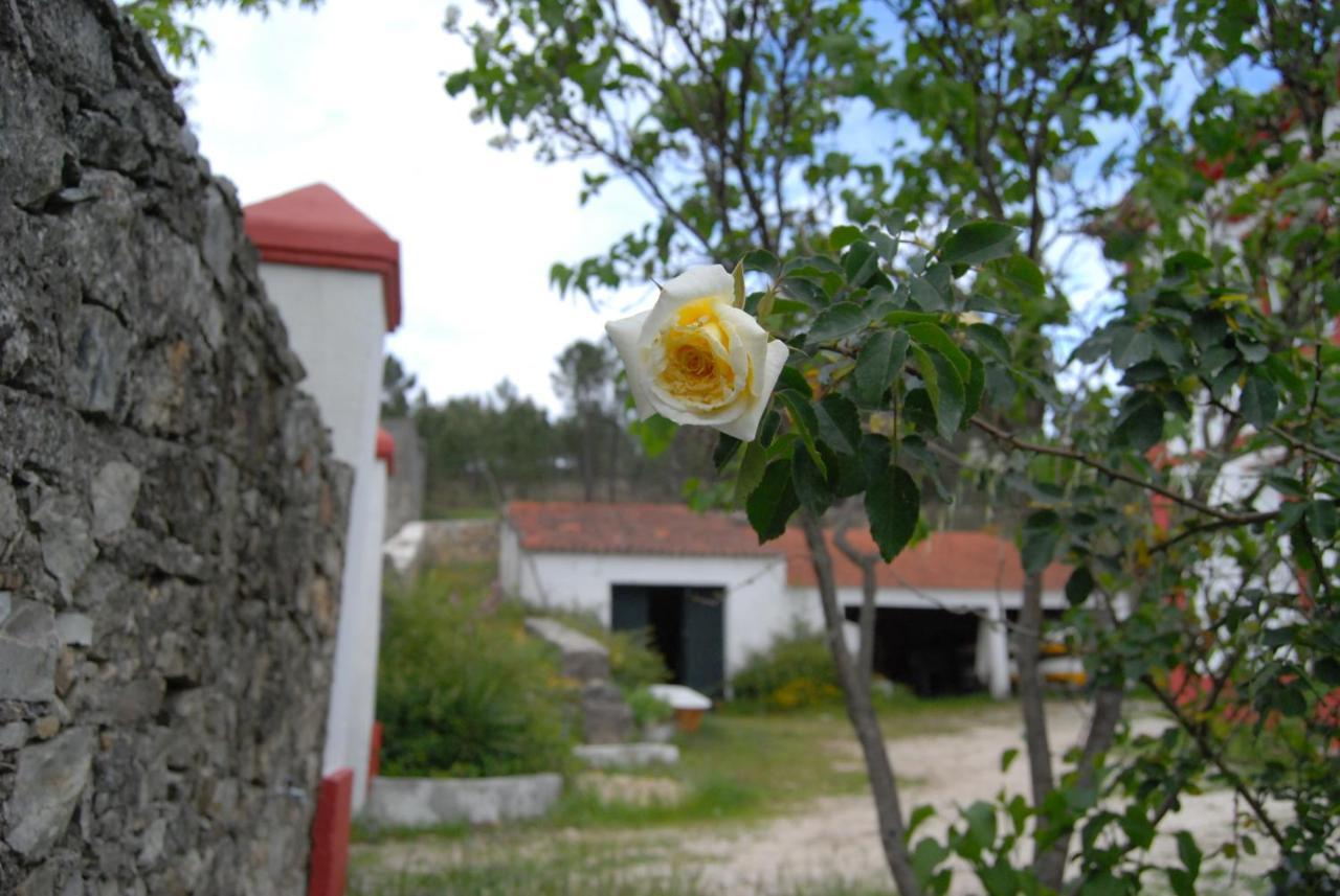 Predio Na Amendoa Villa Eksteriør bilde